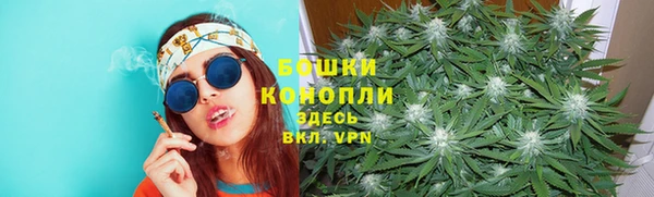 трава Нязепетровск