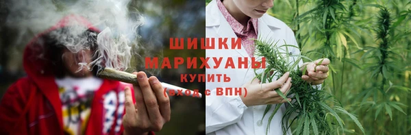 Альфа ПВП Аркадак