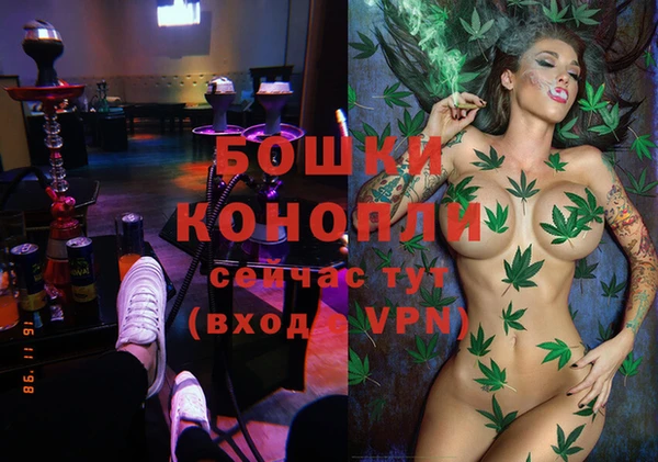 spice Нягань