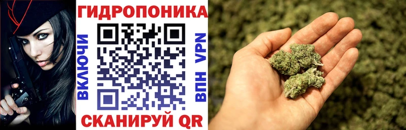 Марихуана семена  где купить наркоту  KRAKEN ССЫЛКА  Очёр 